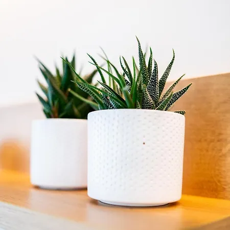 Lilium Appartement