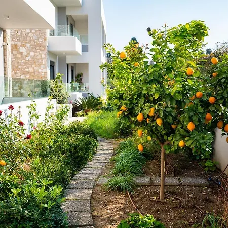 Lilium * Kos-stad