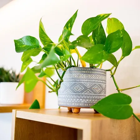 Apartment Lilium *