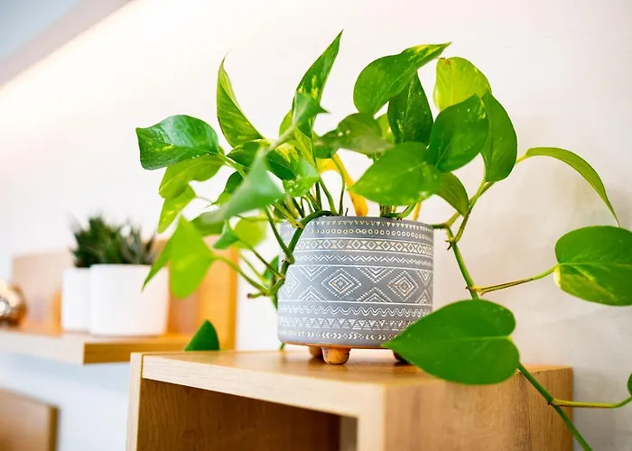 Apartment Lilium *
